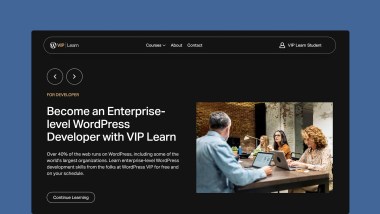 VIP Learn Course Overview